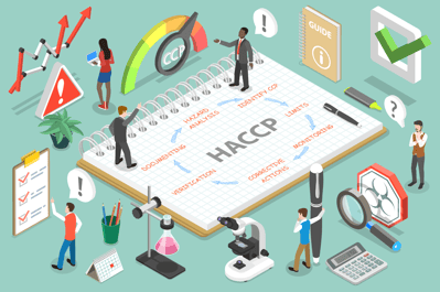 3D Isometric vector concept of Hazard Analysis and critical control points, HACCP Steps as are Hazard Analysis