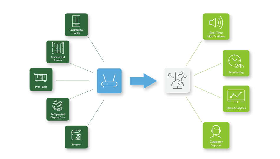 Real time food monitoring